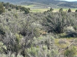 Photo of 0 Council Butte 4 of 4