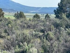 Photo of 0 Council Butte 2 of 4