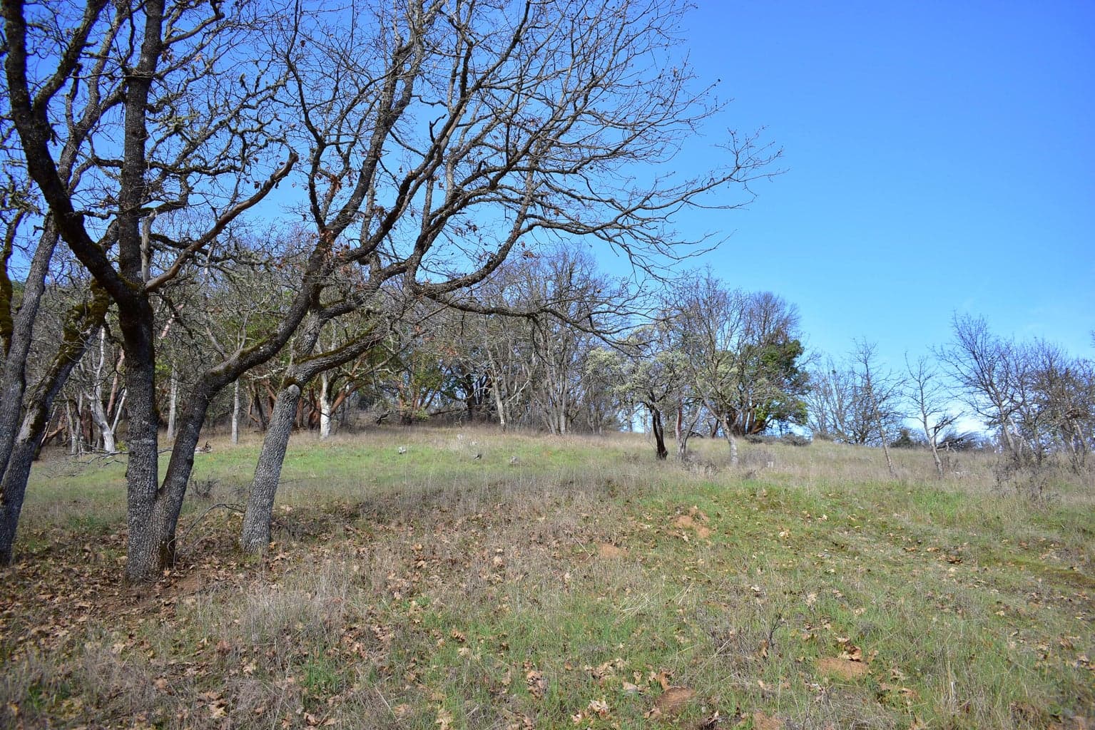 Photo of 12940 Highway 234 5 of 14
