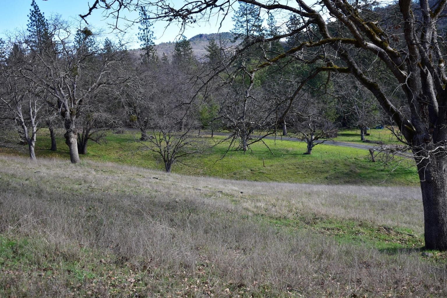 Photo of 12940 Highway 234 4 of 14