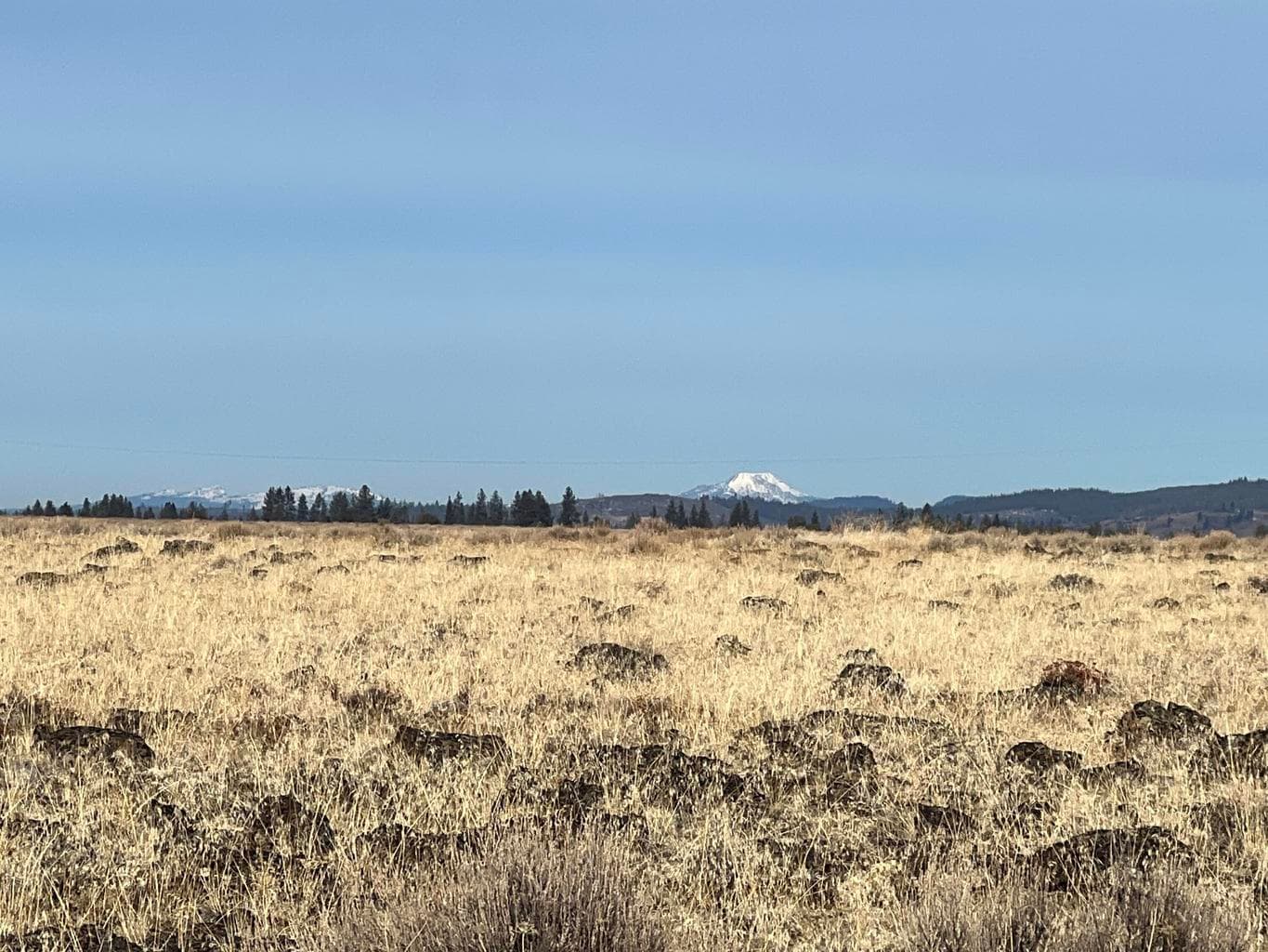 Photo of 0 Rim 3 of 14