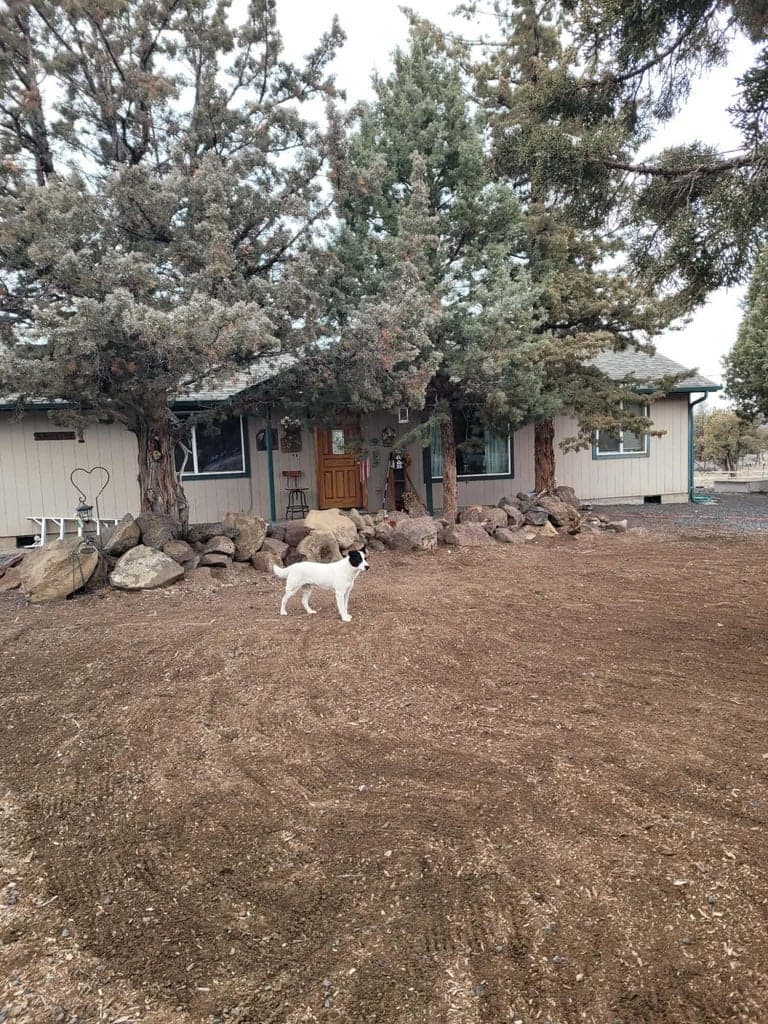 Photo of 3913 Umatilla 4 of 69