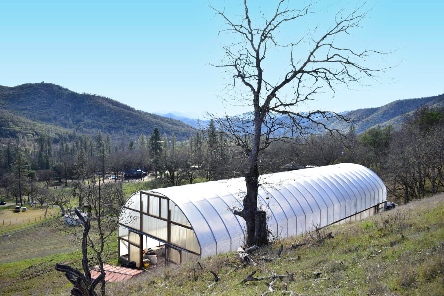 Photo of 12940 Highway 234 3 of 14