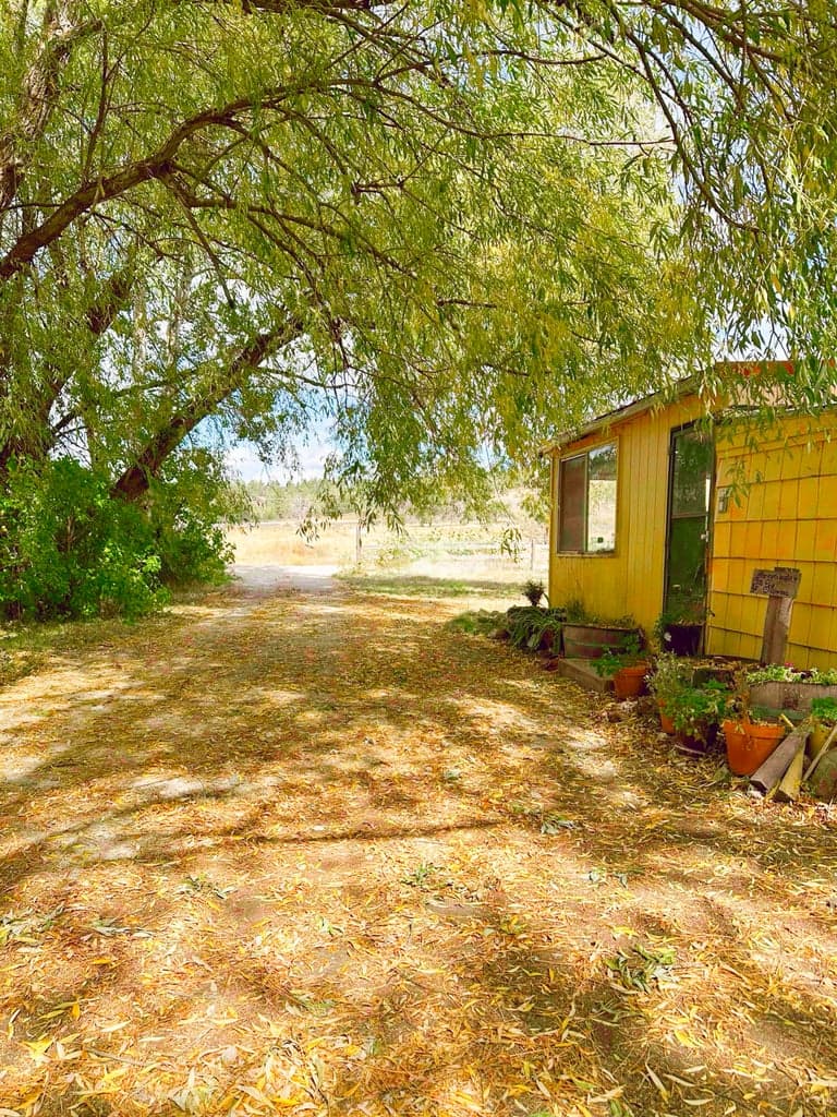 Photo of 33234 Malheur 4 of 25