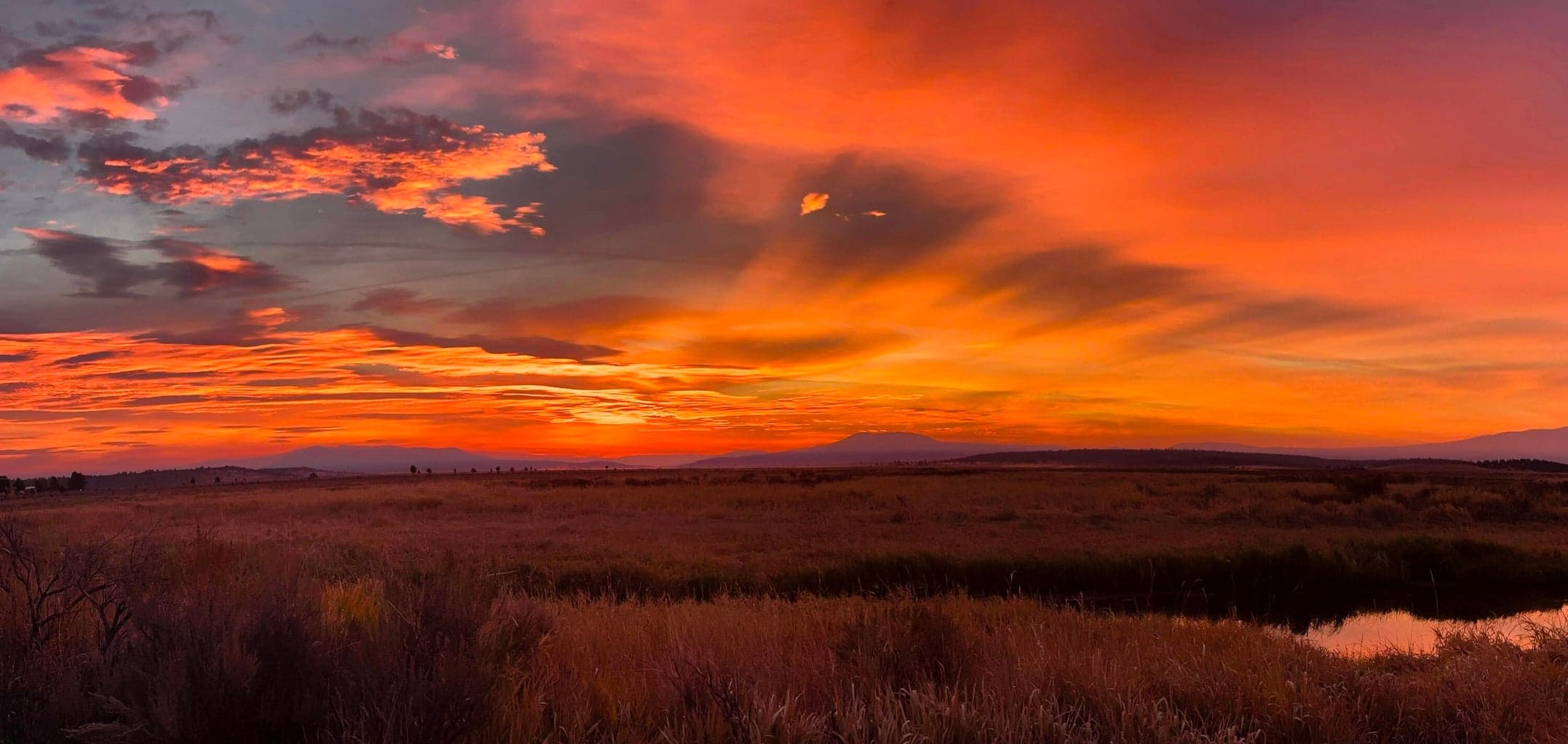 Photo of 33234 Malheur 3 of 25