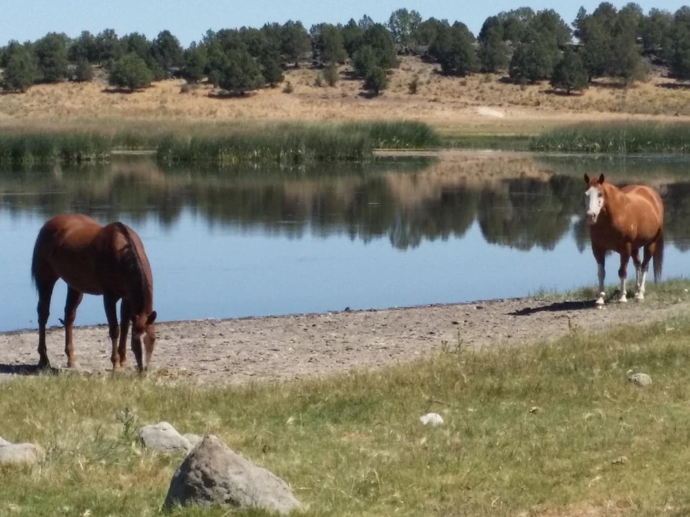 0 Sprague River