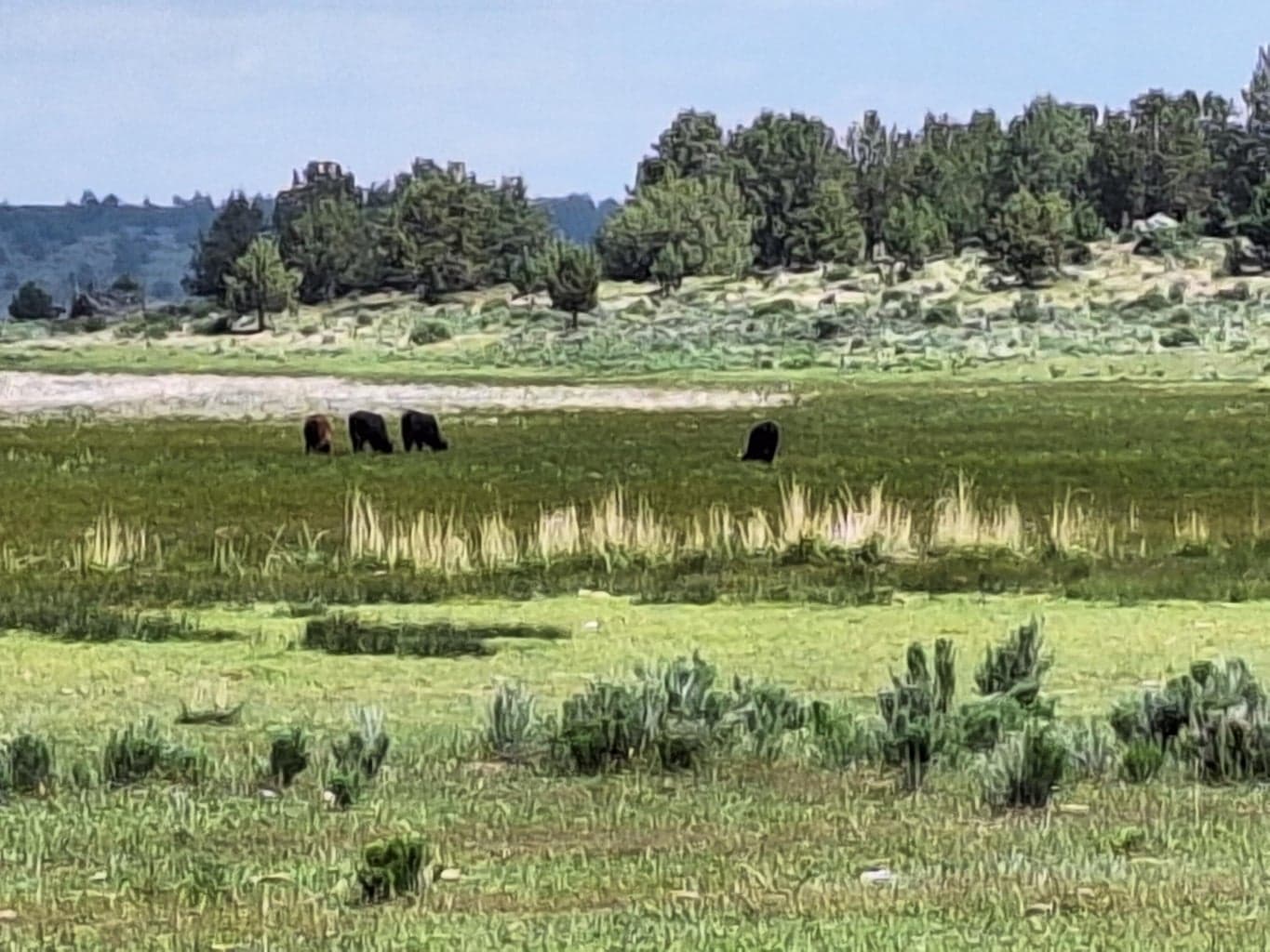 Photo of 0 Sprague River 5 of 12