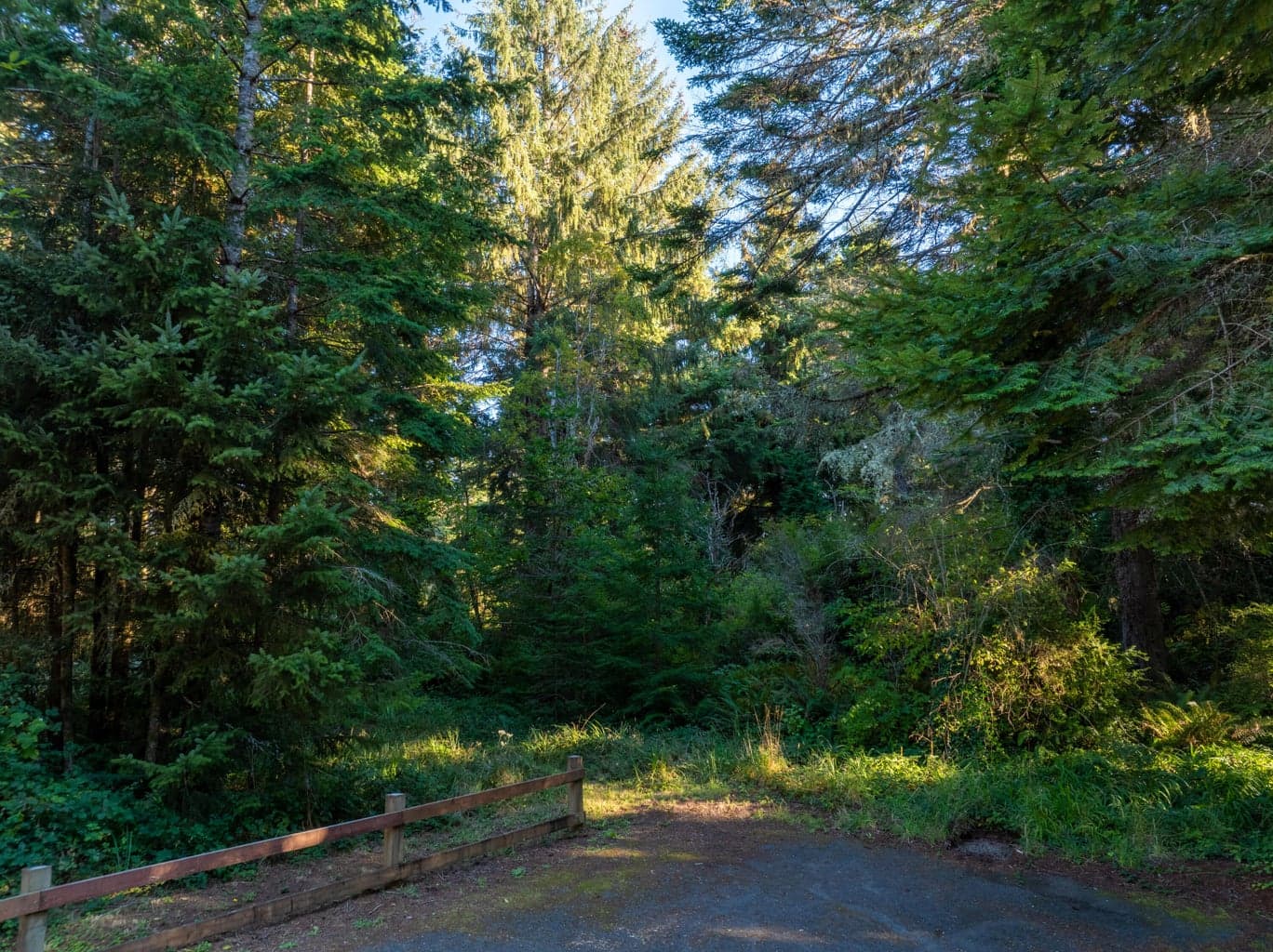 Photo of 9th 5 of 8