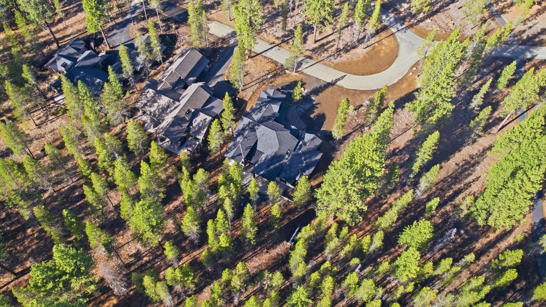 Set back to nestle into the Ponderosa Pine forest