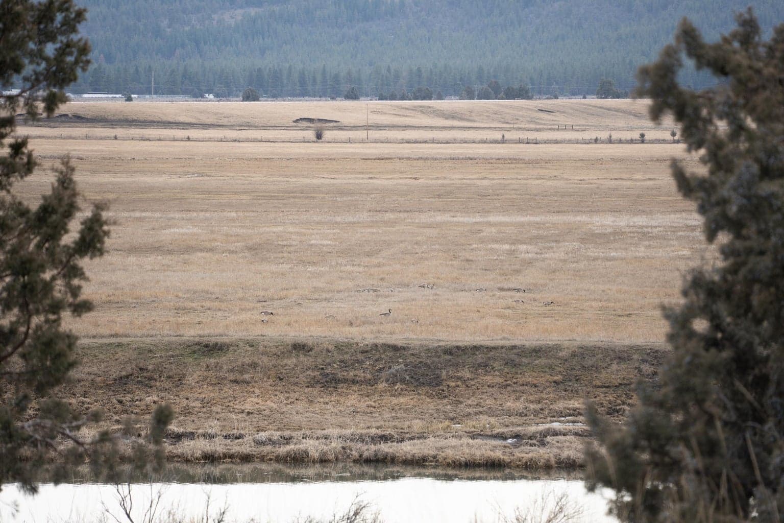 Photo of 28319 Drews 2 of 13