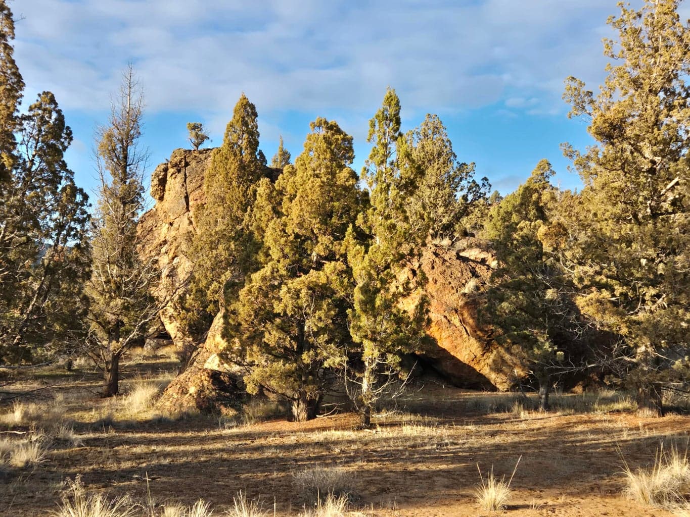 Huge rocks to shield you from the neighbors.