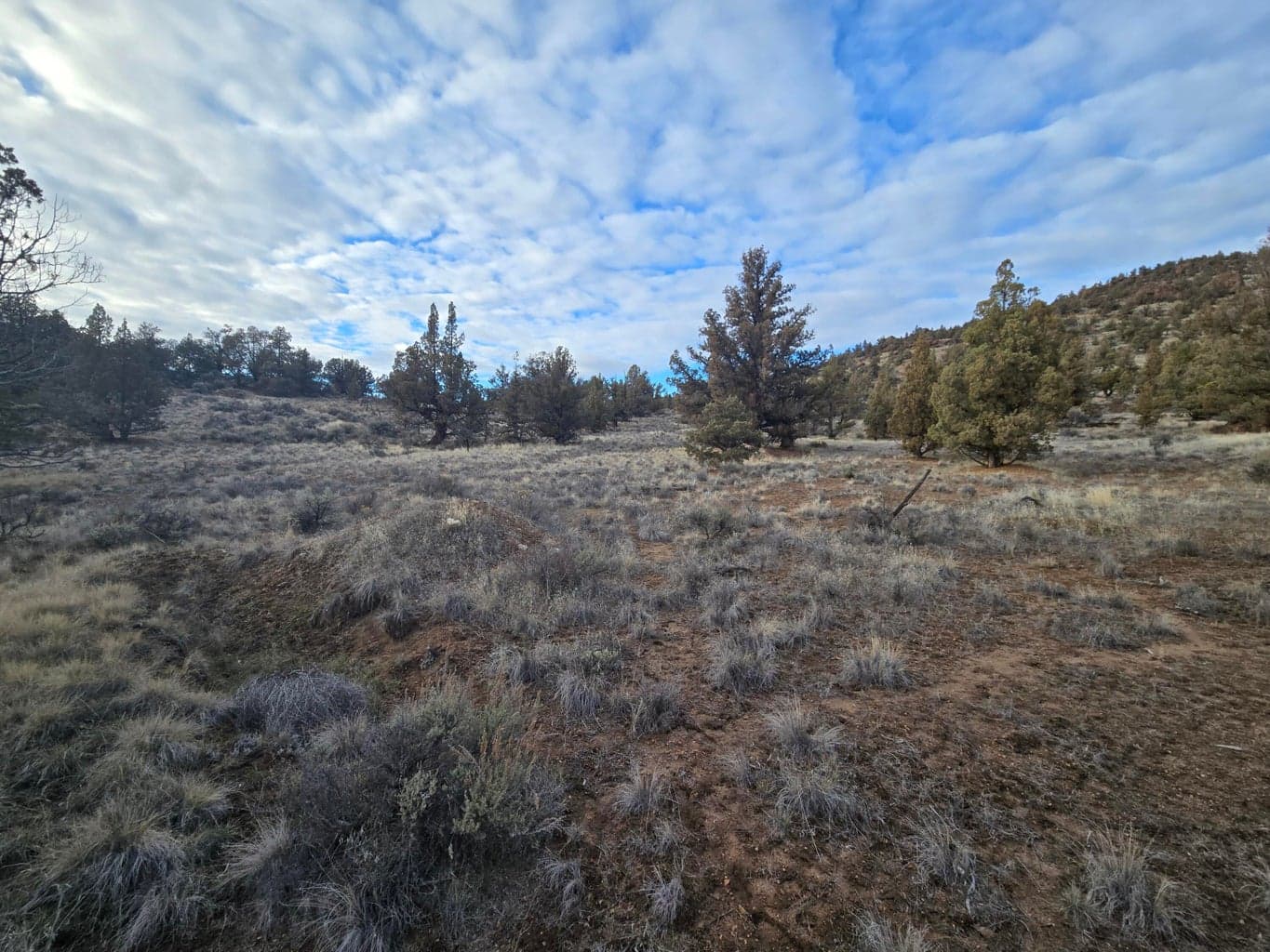 Photo of 10068 Pavati 2 of 10