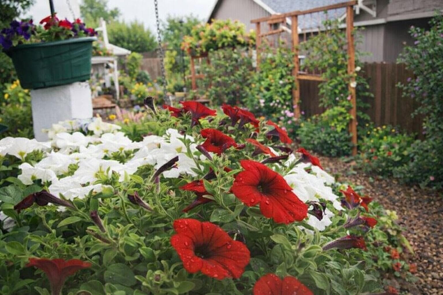The flower bloom in the front and back yards all spring through the fall! Breath taking!