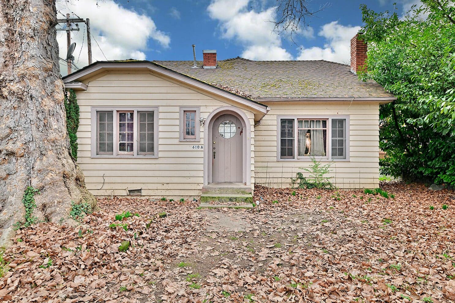 Photo of 604 4th 2 of 10