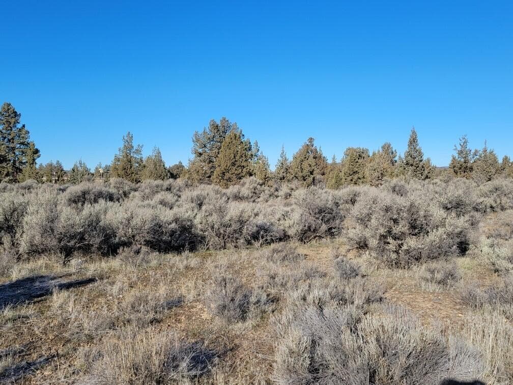 Photo of 319 SW Tom McCall Road 8 of 10