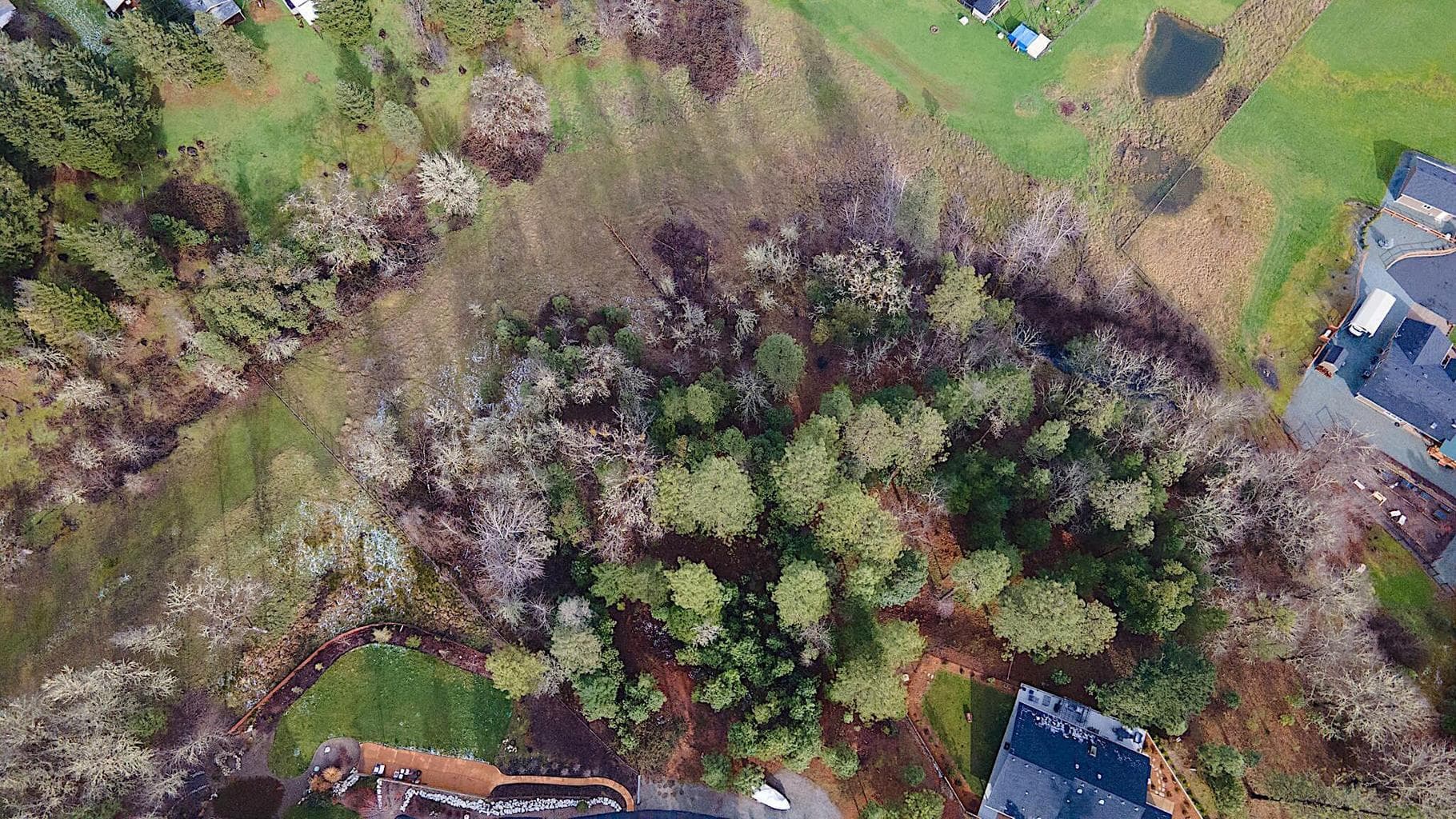 Photo of 284 Rockinghorse 5 of 10