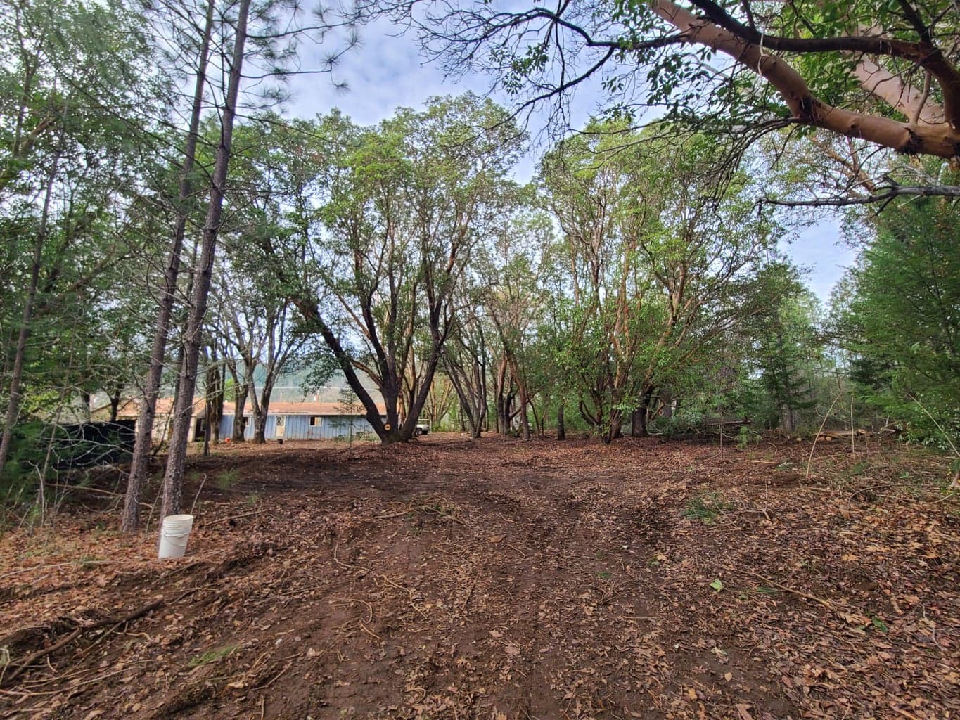 Photo of Caves Hwy 3 of 6