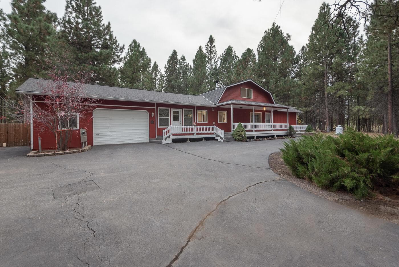 14731 Longleaf Pine