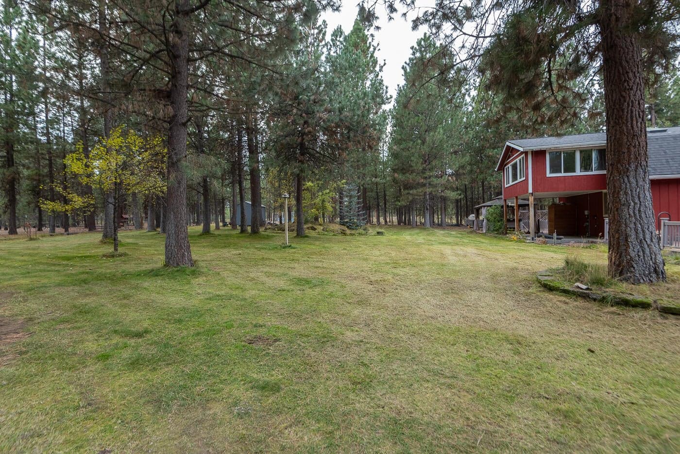 Photo of 14731 Longleaf Pine 30 of 47