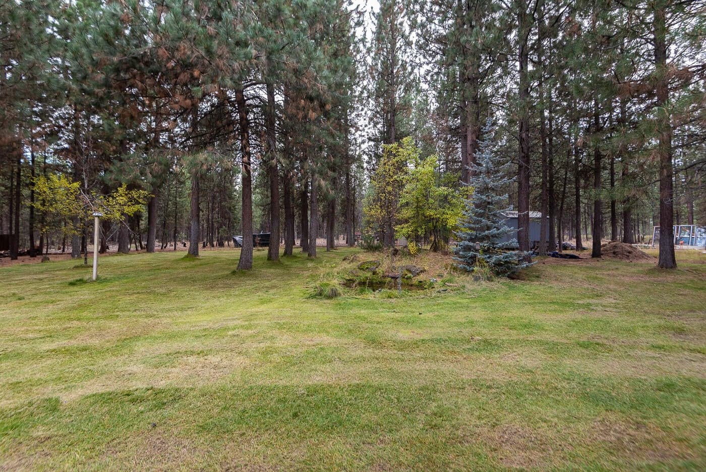 Photo of 14731 Longleaf Pine 31 of 47