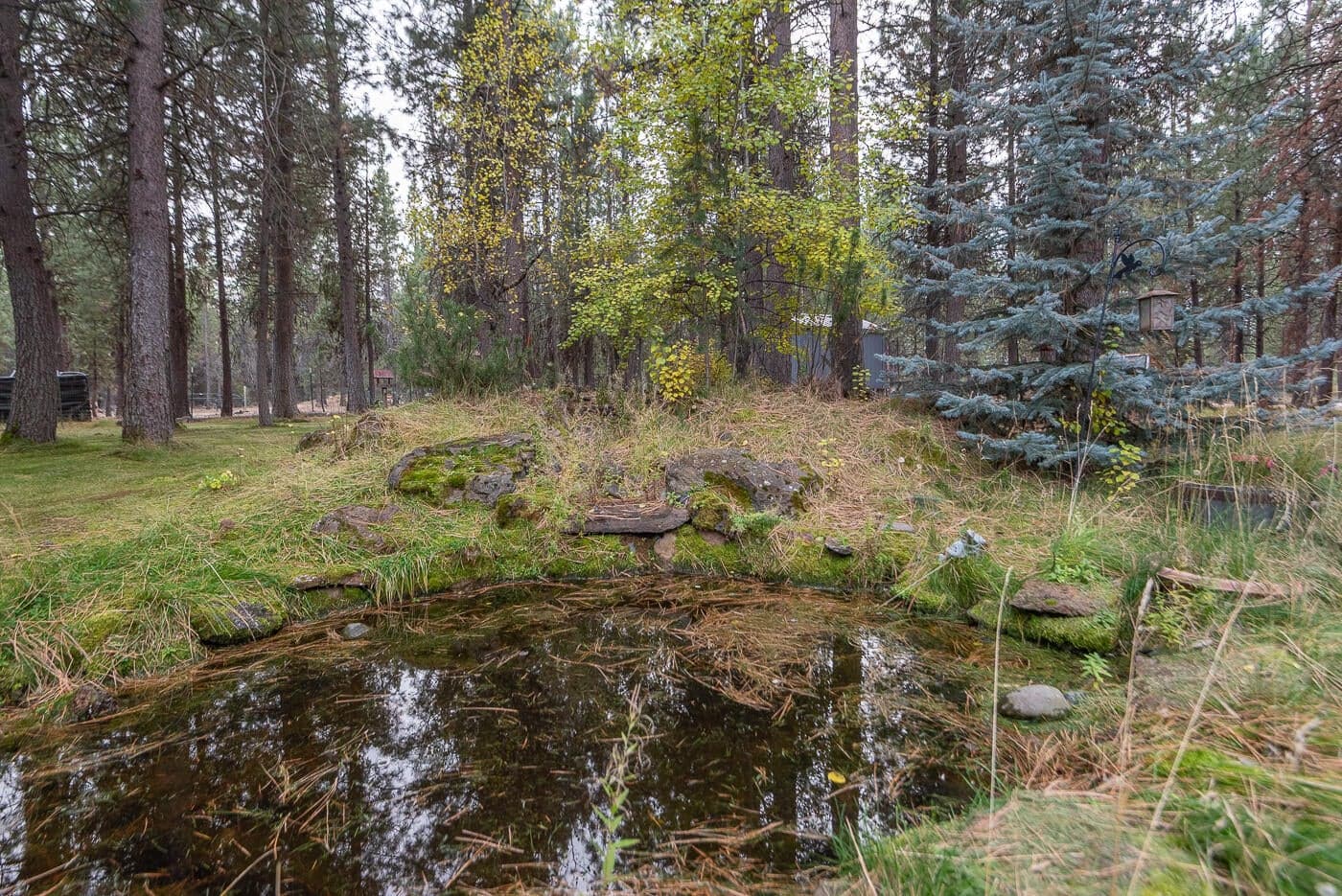 Water feature
