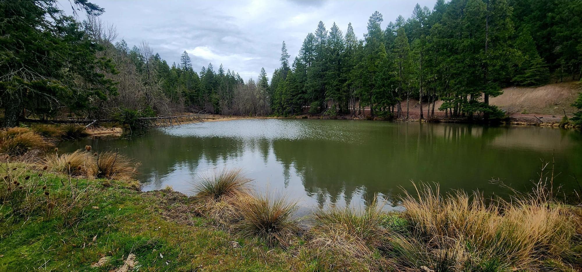 11000 Oregon 227, Trail, 97541