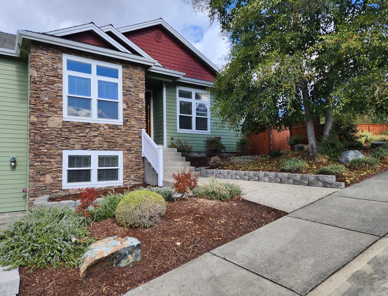 Photo of 2568 Coriander 2 of 55