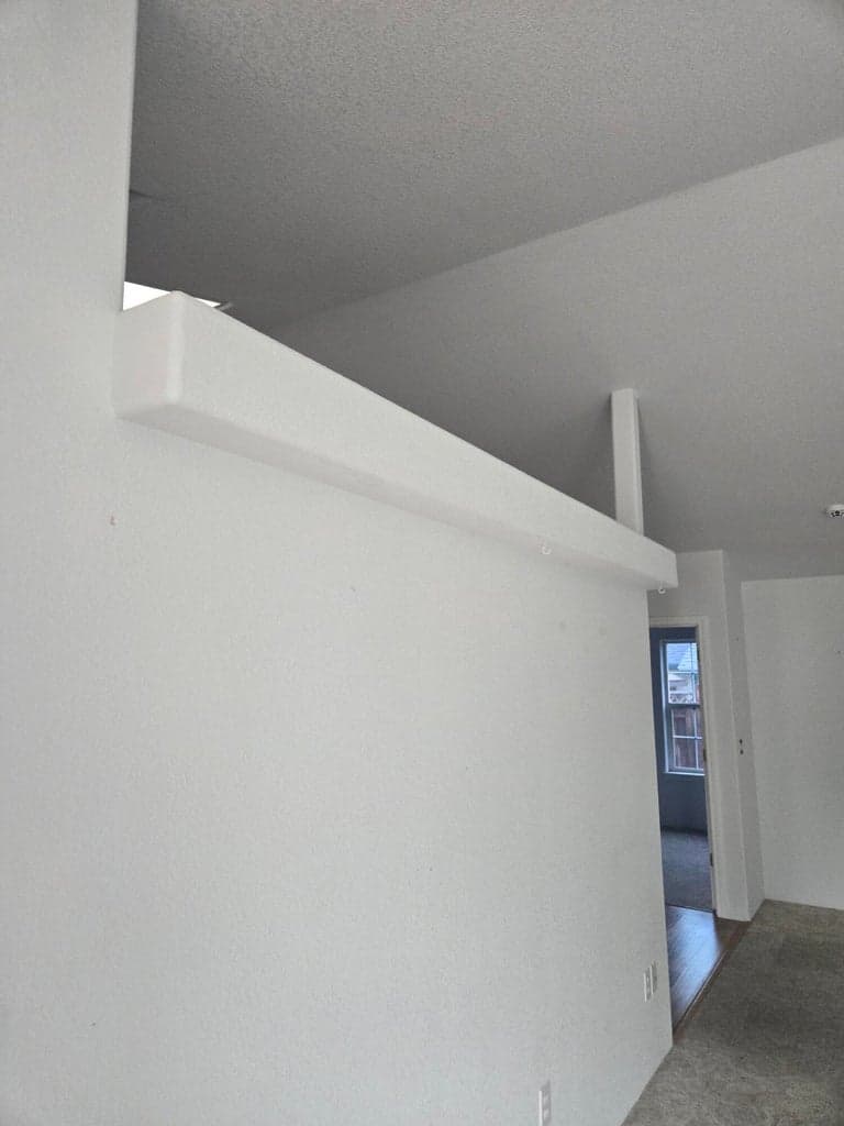 Shelf