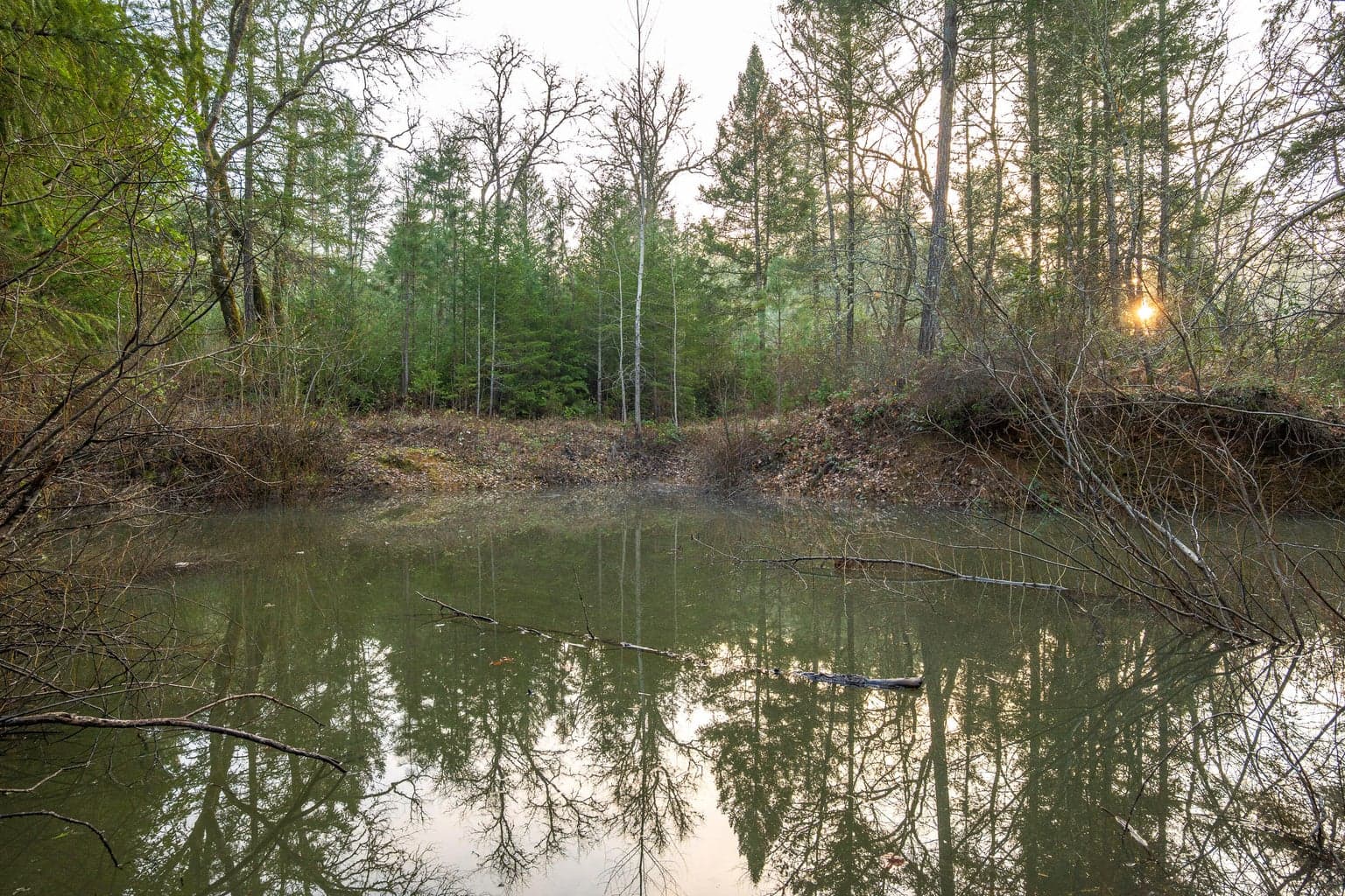Photo of 4401 Fish Hatchery Road 3 of 24