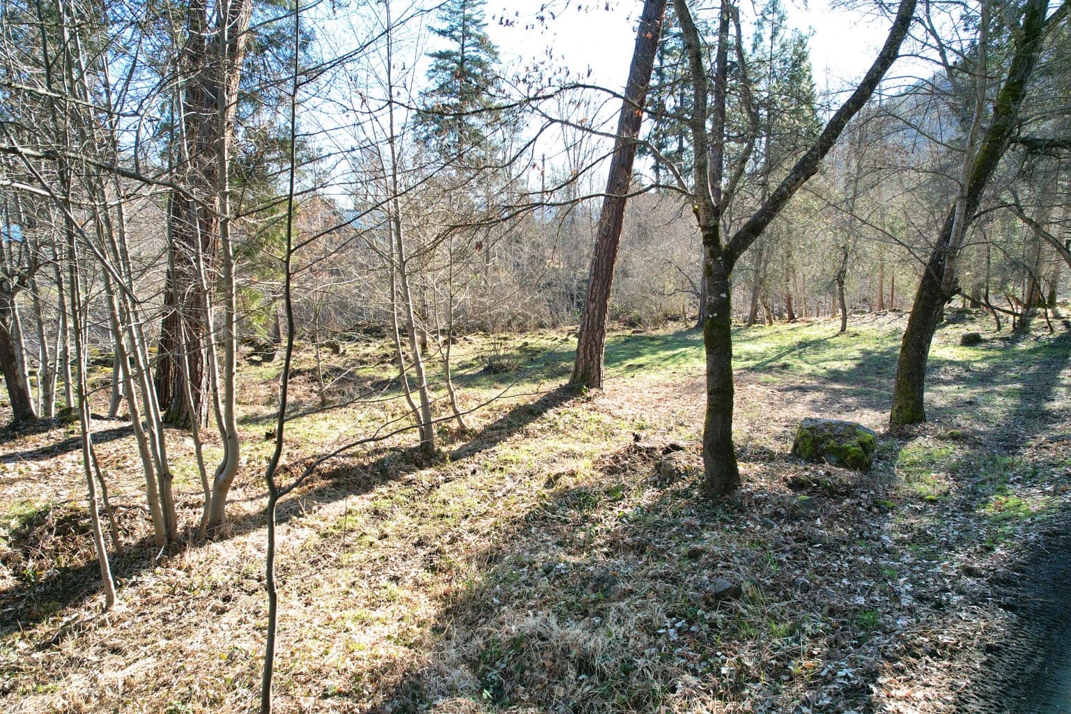 Photo of 1682 Brown 5 of 51