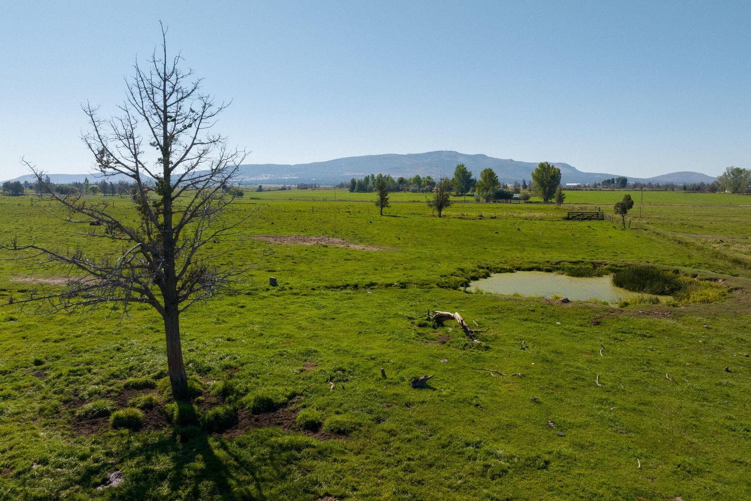 drone pasture