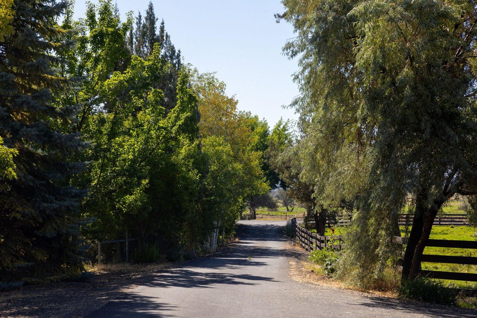 driveway from Fleming Rd,