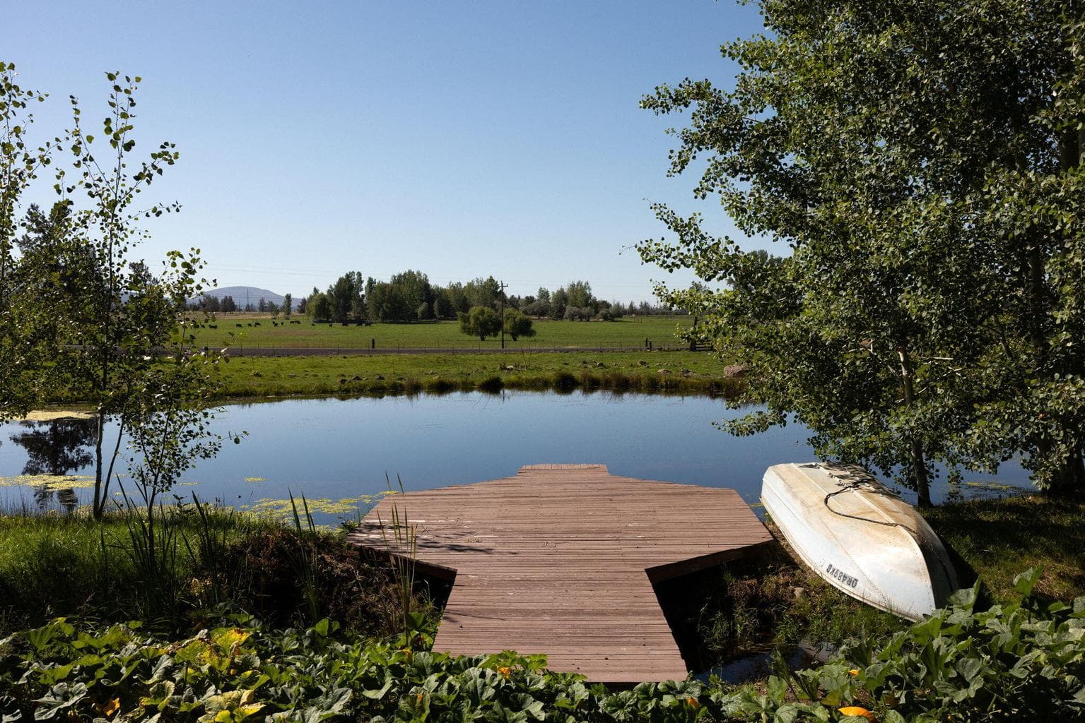 irrigation pond / dock