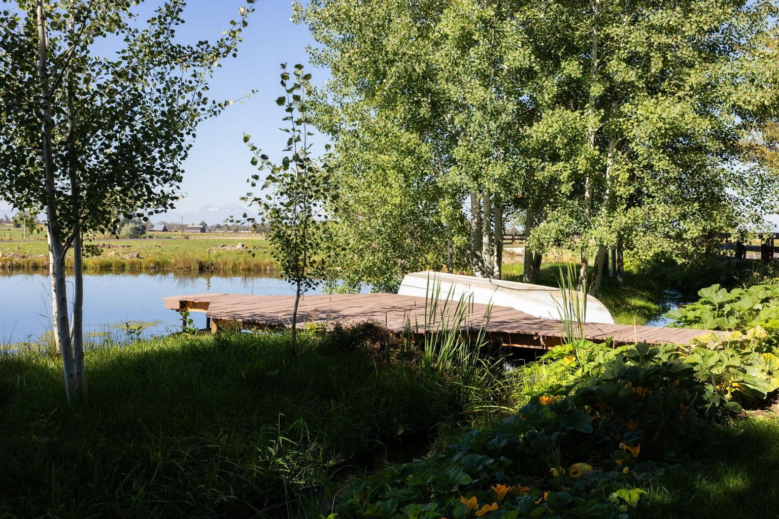 main pond