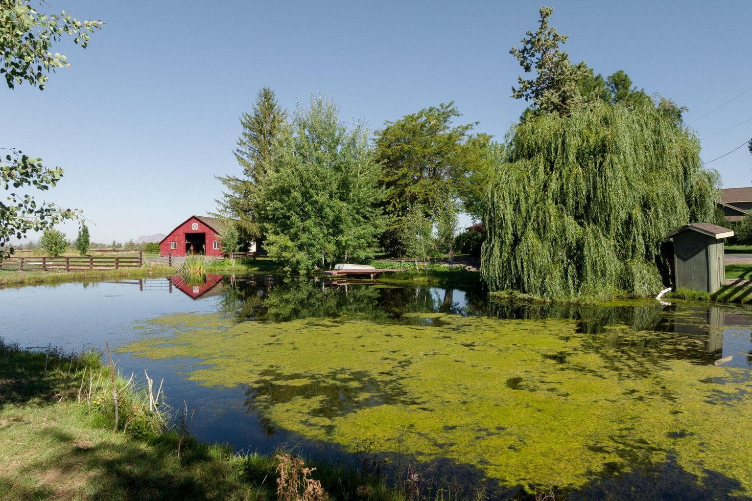 main pond