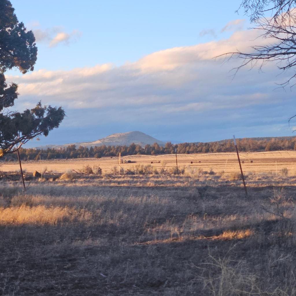 Photo of 61461 Oil Dri 2 of 24