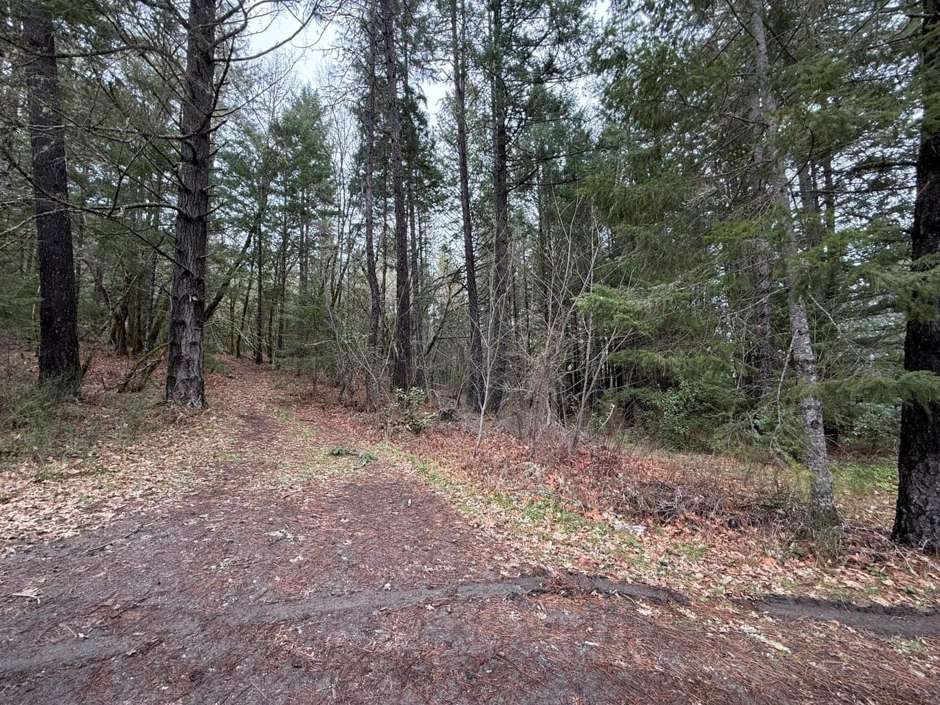 Photo of 907 Riverbanks 3 of 10