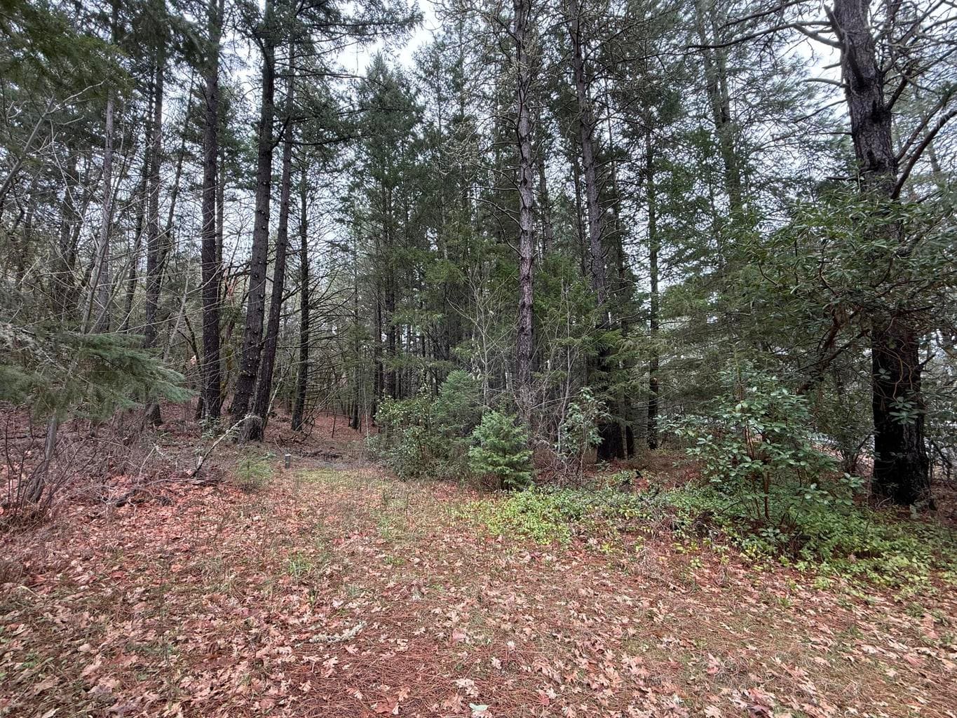 Photo of 908 Riverbanks 3 of 10
