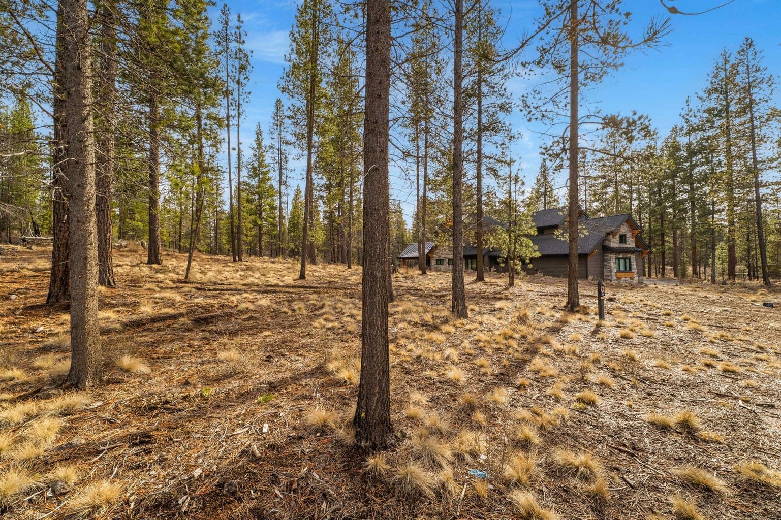 Photo of 56239 Mirror Rock Loop 9 of 11
