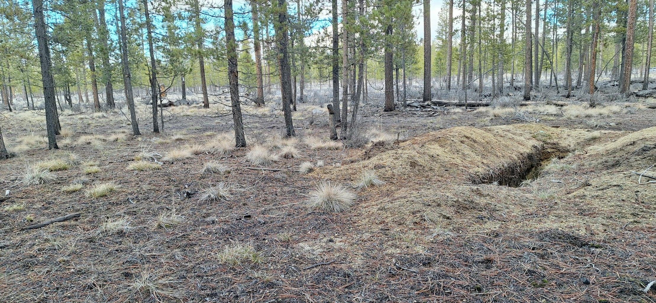 Photo of Sun Forest Drive 5 of 8