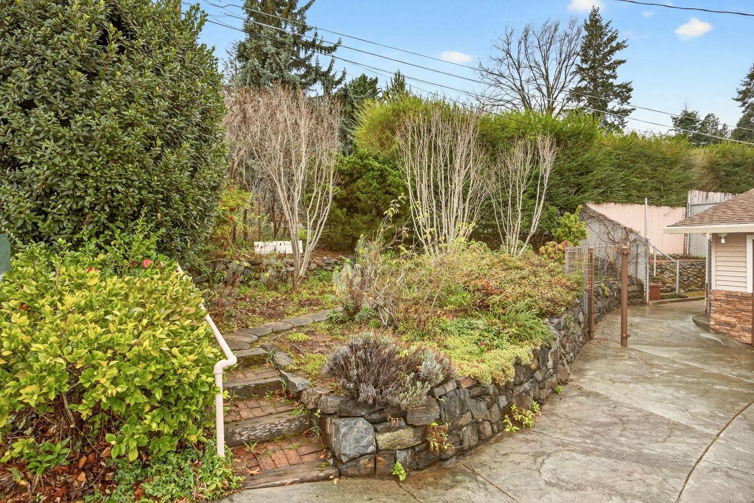 Photo of 1059 Terra 2 of 43