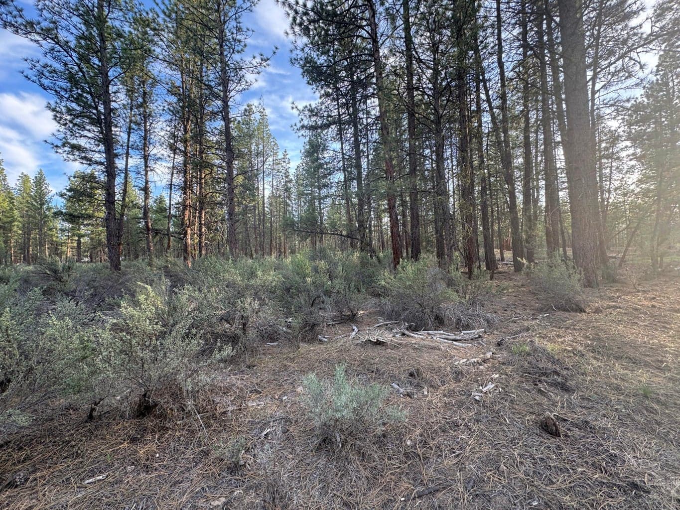 0 Silver Fox, Sprague River, 97639