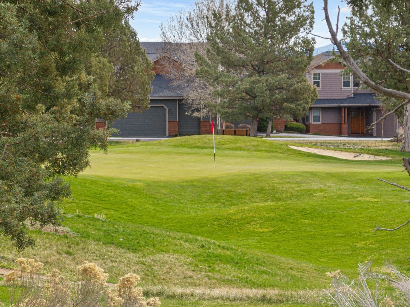 Photo of 1845 Cinnamon Teal Drive 10 of 67