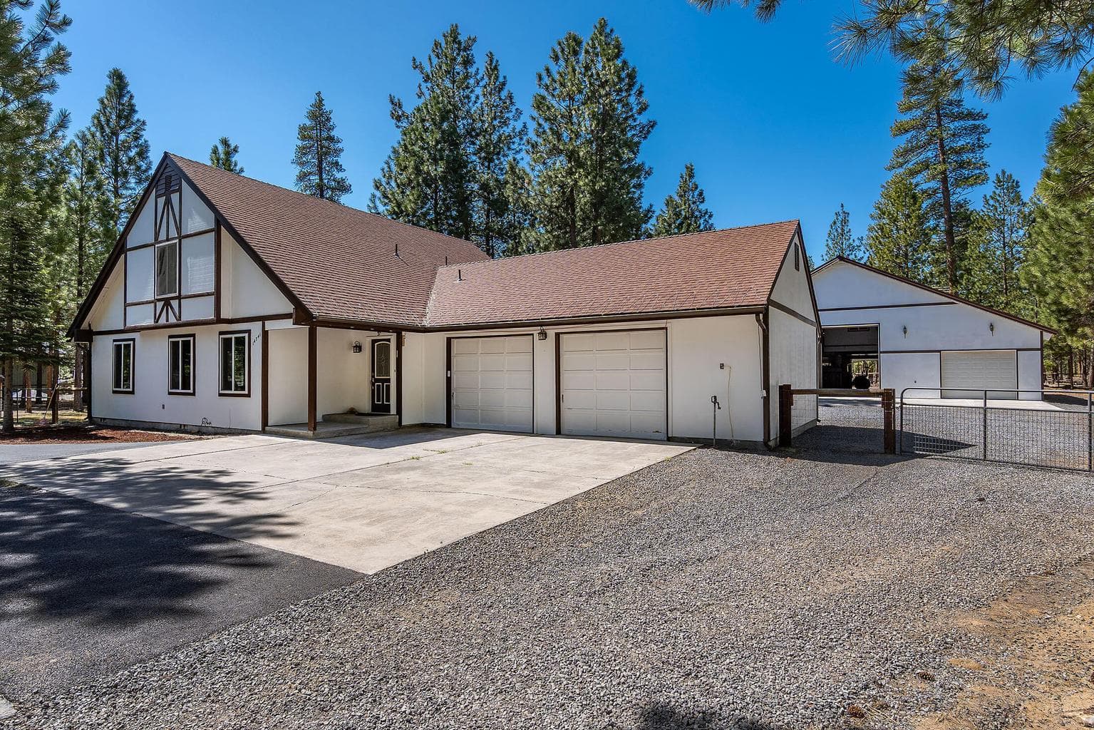 14741 Sugar Pine