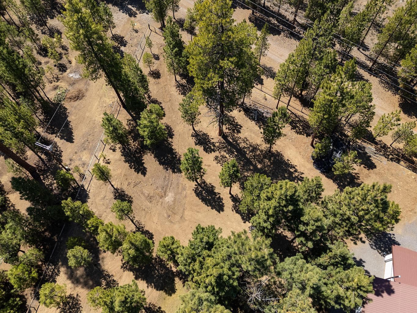 Photo of 14741 N Sugar Pine Way 29 of 51
