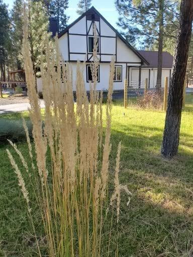 Photo of 14741 N Sugar Pine Way 38 of 51