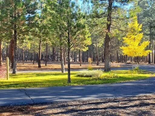 Photo of 14741 N Sugar Pine Way 47 of 51