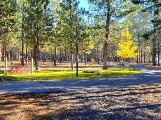 Photo of 14741 N Sugar Pine Way 48 of 51