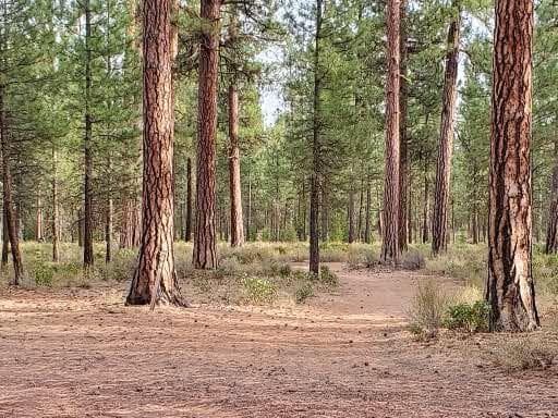 Photo of 14741 N Sugar Pine Way 51 of 51