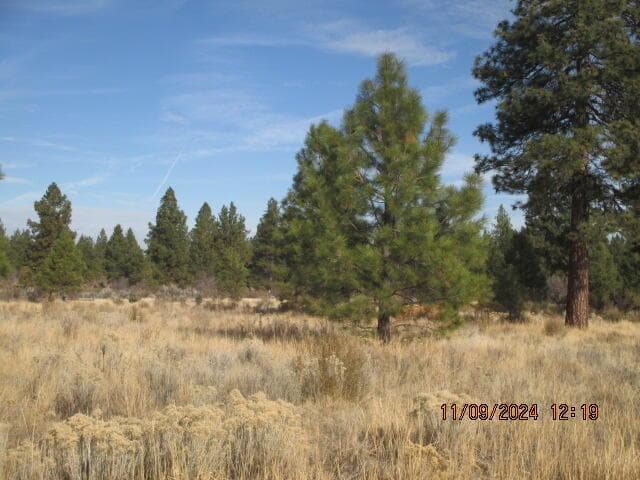 Photo of 0 Sundance 4 of 15